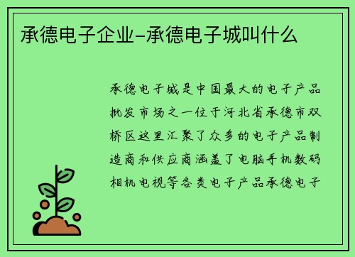 承德电子企业-承德电子城叫什么